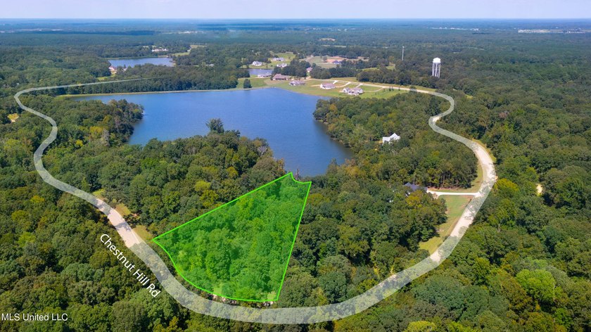 Take advantage of this once-in-a-lifetime opportunity to build - photo 7
