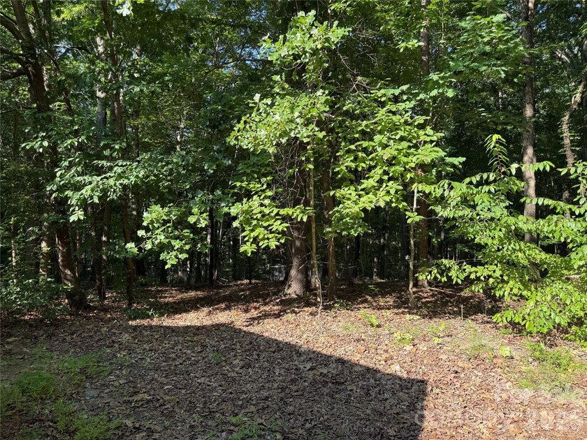 Great opportunity for a small subdivision. Zoning N1A. Lot could - photo 34