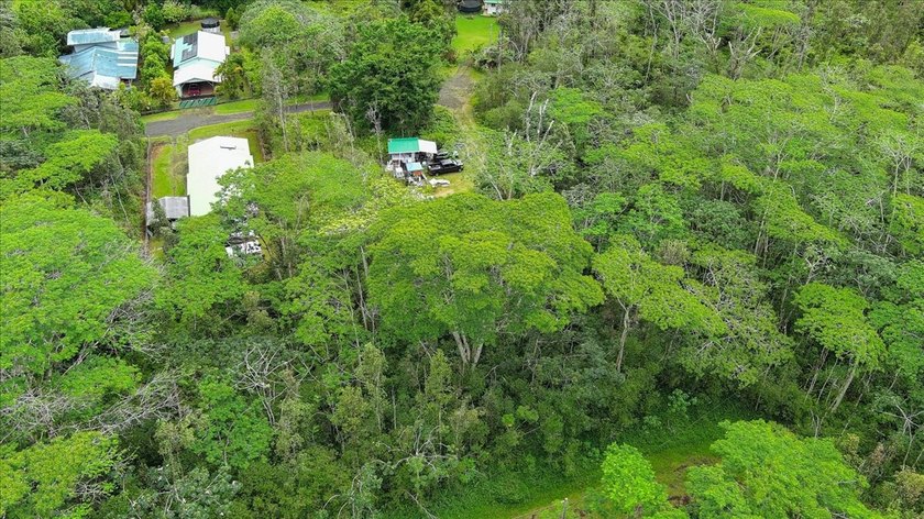 Located in a cul-de-sac in Nanawale Estates, Lava 2 Zone, this - photo 3