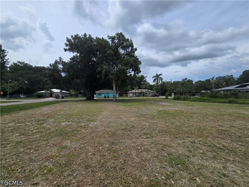 This prime corner lot featuring a large Oak tree is cleared - photo 3