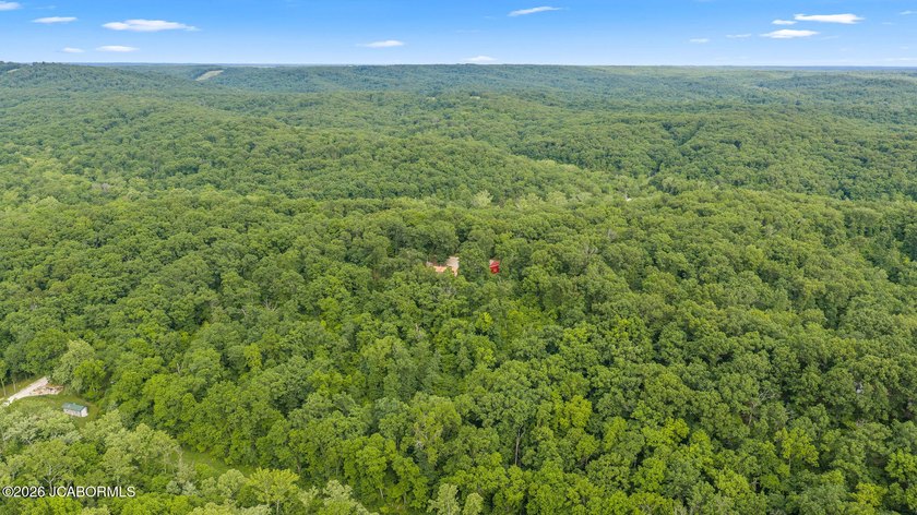If you're looking for peace, privacy, and room to roam, this - photo 15