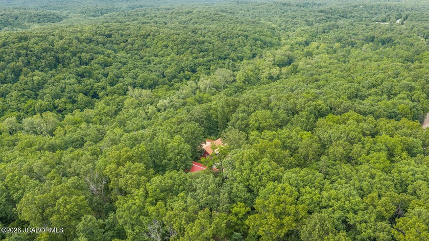 If you're looking for peace, privacy, and room to roam, this - photo 19