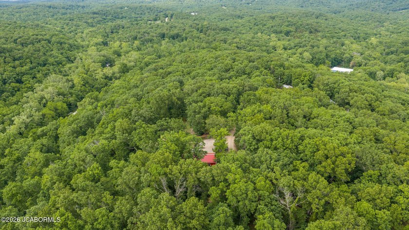 If you're looking for peace, privacy, and room to roam, this - photo 20