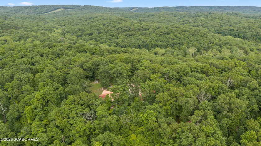 If you're looking for peace, privacy, and room to roam, this - photo 21