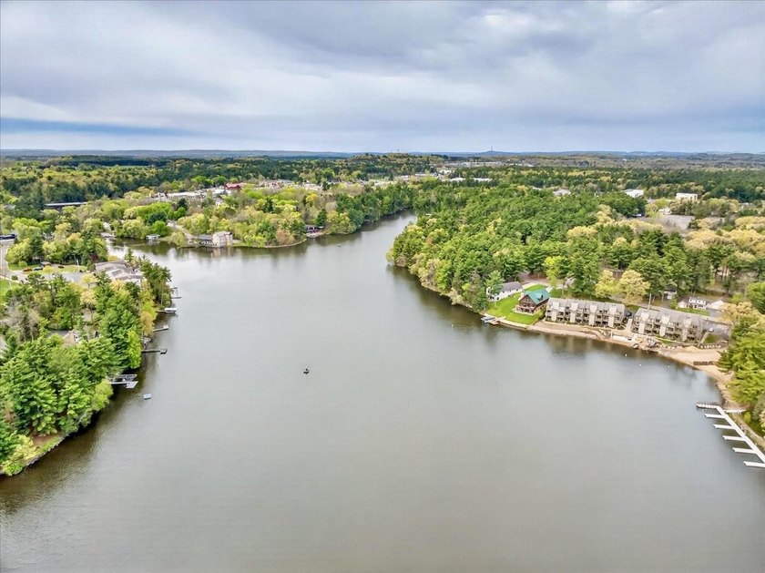 Experience luxury lake living in this beautifully updated Lake - photo 43