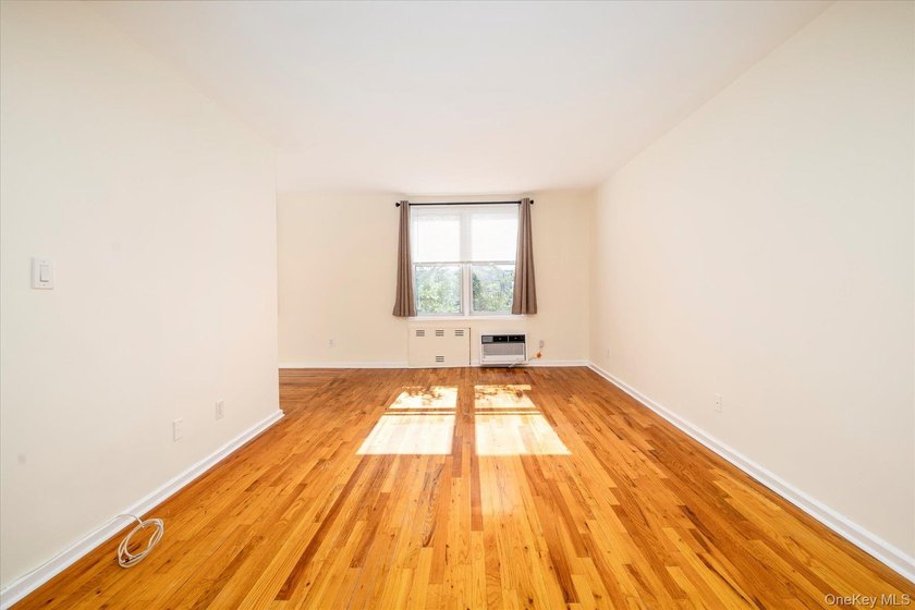 Adorable and Affordable Spacious Studio with Sleeping Alcove - photo 8