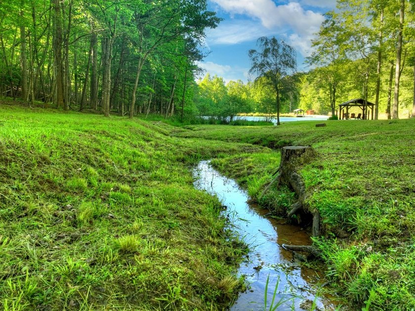 Tucked beneath a canopy of towering hardwoods and surrounded by - photo 6