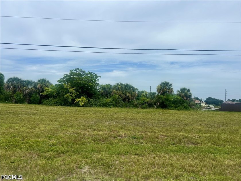 OVERSIZED TRIPLE FRESHWATER LOT - NO FLOOD ZONE - PARTIAL LAKE - photo 3