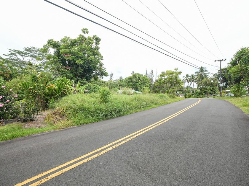 Most of this wonderfully located lot was previously cleared, and - photo 5
