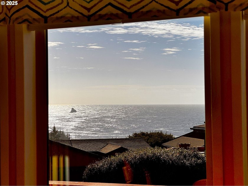 OCEAN VIEWS from this large, active vacation rental at - photo 6