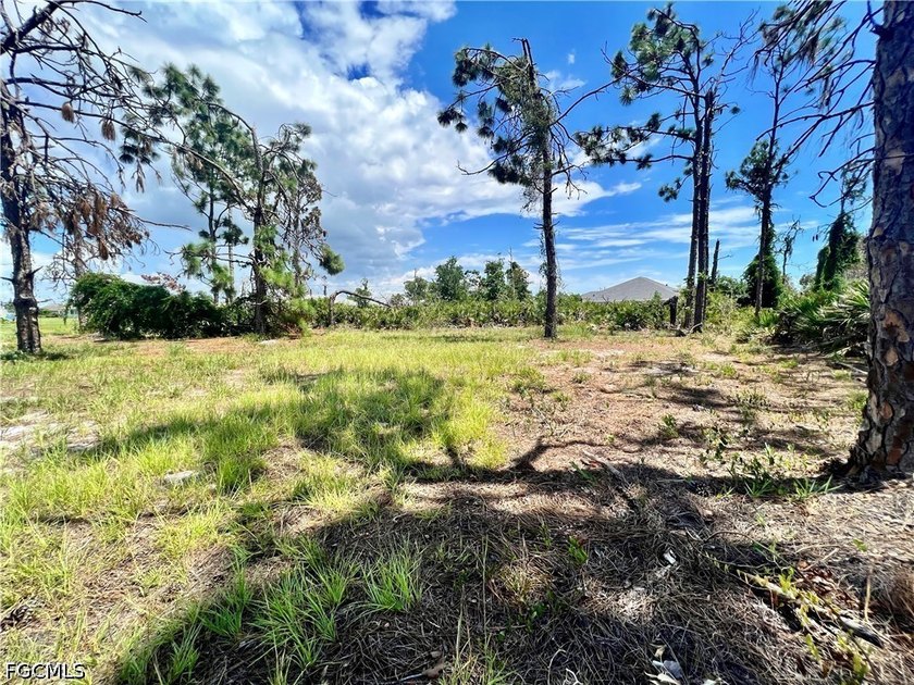 Very nice lot in deeded neighborhood with a golf course behind - photo 3