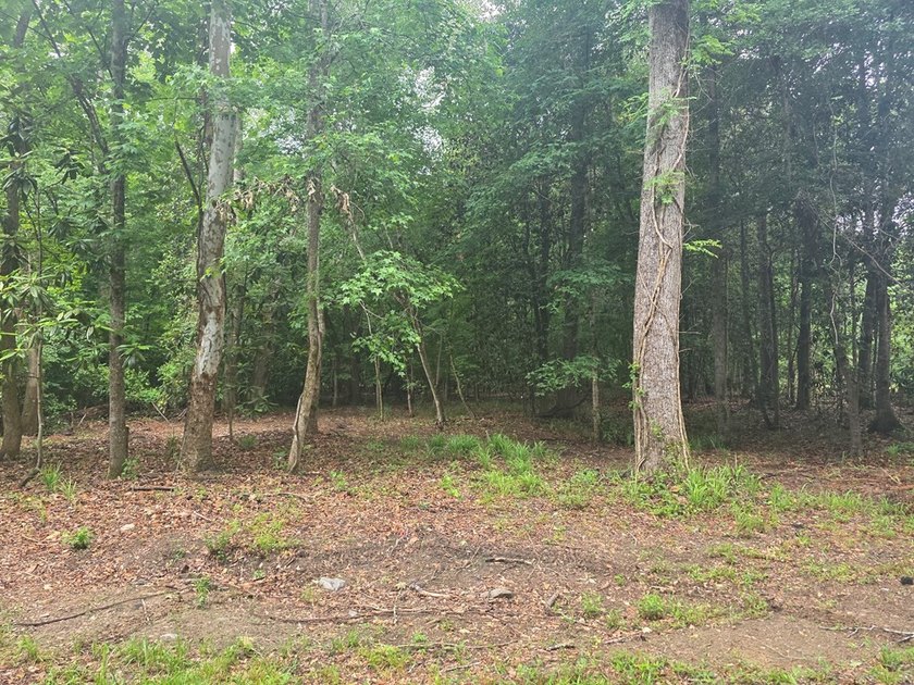 Beautiful flat lot with creek running through the back of - photo 4