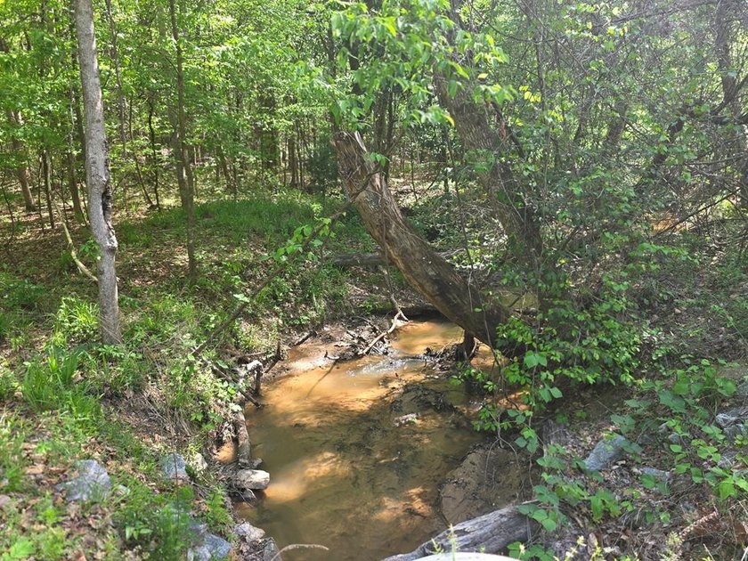 Beautiful flat lot with creek running through the back of - photo 5