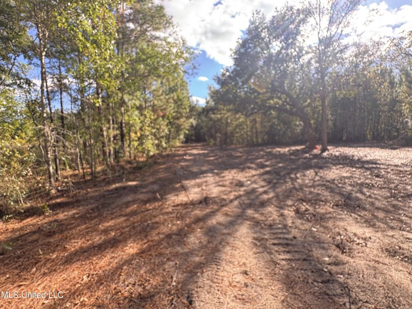 Nature abounds throughout 16.1 gorgeous acres full of oaks and - photo 4