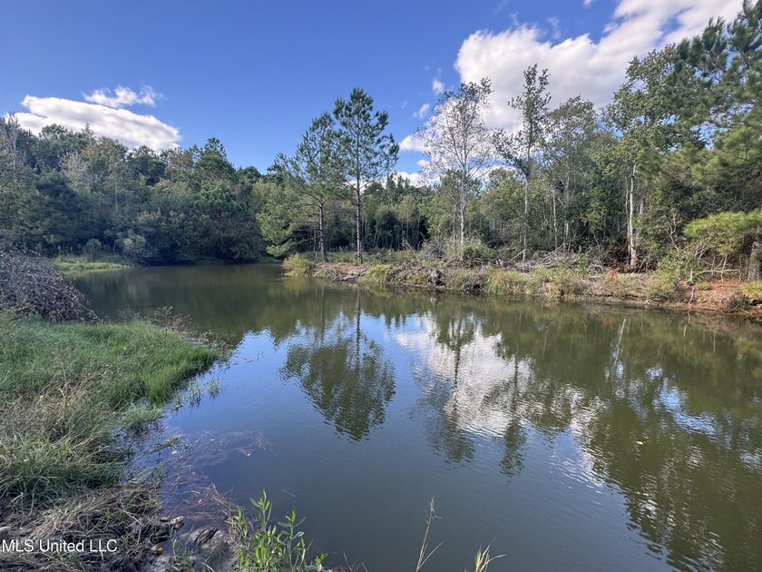 Nature abounds throughout 16.1 gorgeous acres full of oaks and - photo 6