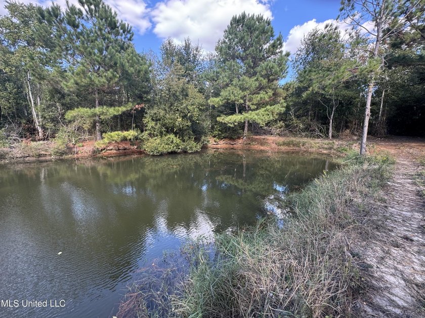 Nature abounds throughout 16.1 gorgeous acres full of oaks and - photo 7
