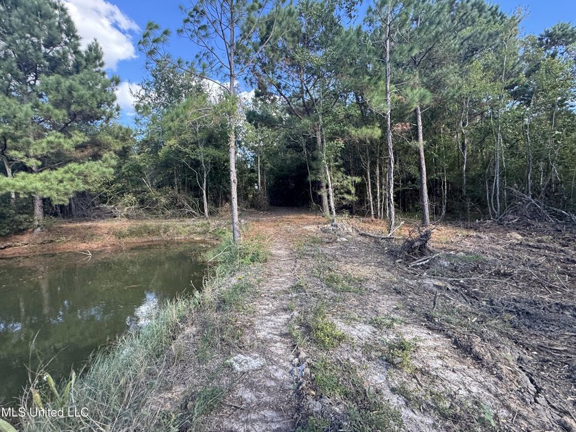 Nature abounds throughout 16.1 gorgeous acres full of oaks and - photo 8