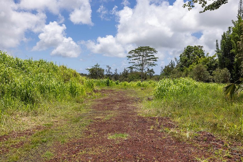 Opportunity to own an improved 3-acre parcel in East Hawaii with - photo 4