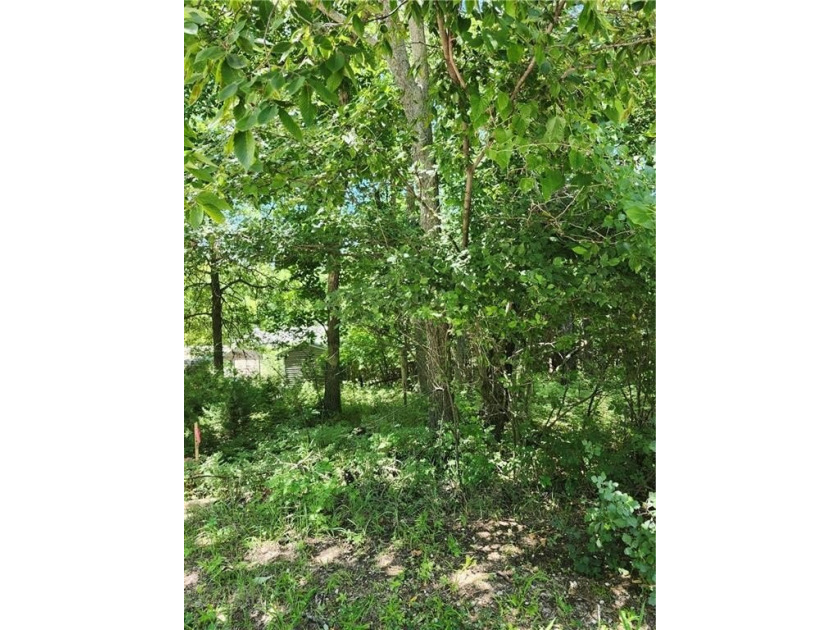 Don't miss this exceptional opportunity to own a beautiful lot - photo 2