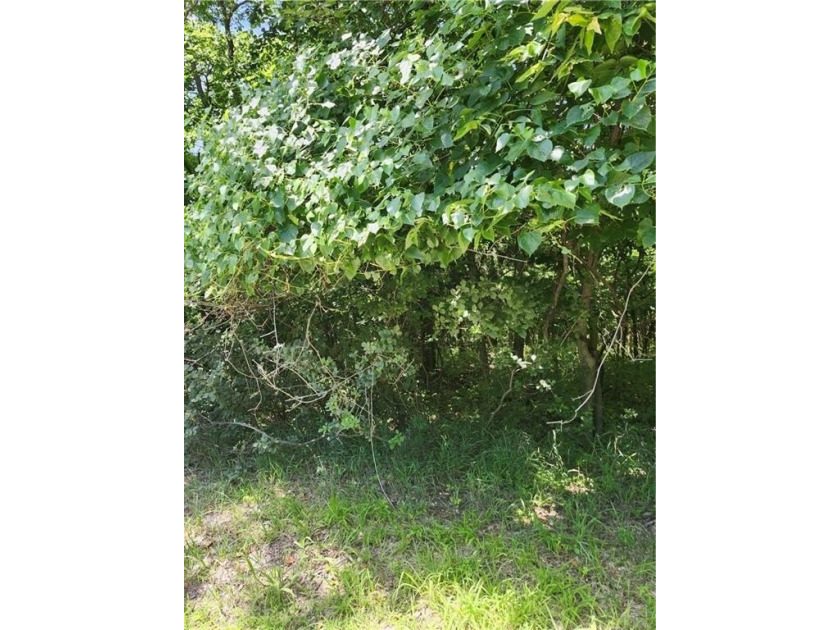 Don't miss this exceptional opportunity to own a beautiful lot - photo 3