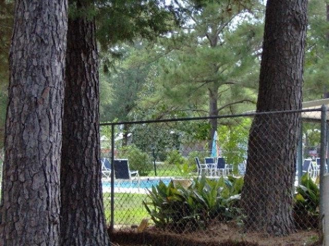 Vacant lot located in the highly sought-after Whispering Pines - photo 9