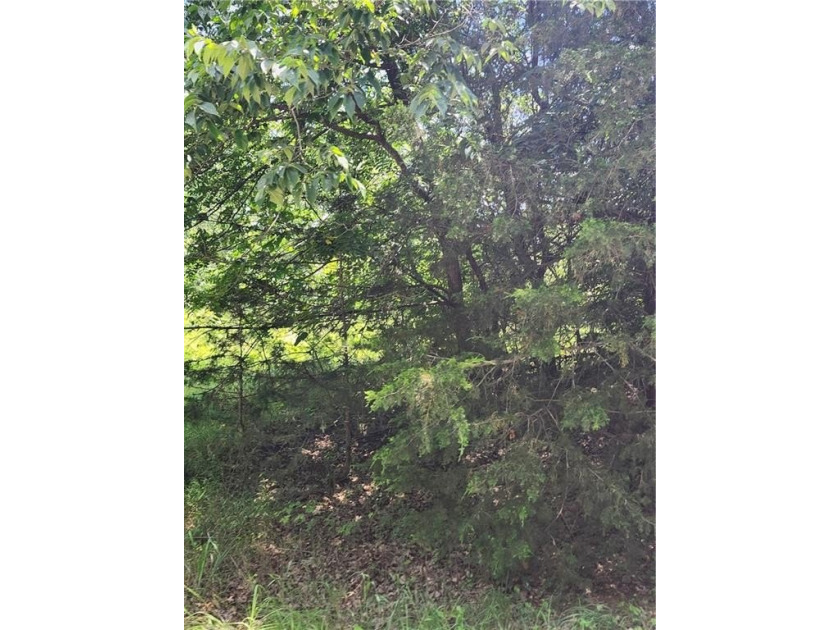 Don't miss this exceptional opportunity to own a beautiful lot - photo 2