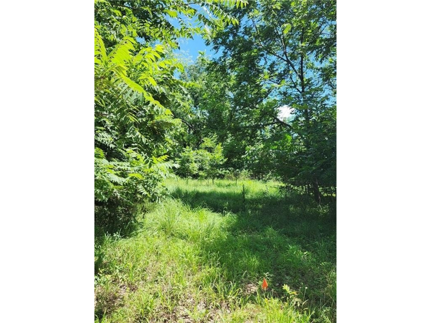 Don't miss this exceptional opportunity to own a beautiful lot - photo 3