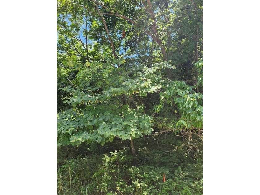 Don't miss this exceptional opportunity to own a beautiful lot - photo 4