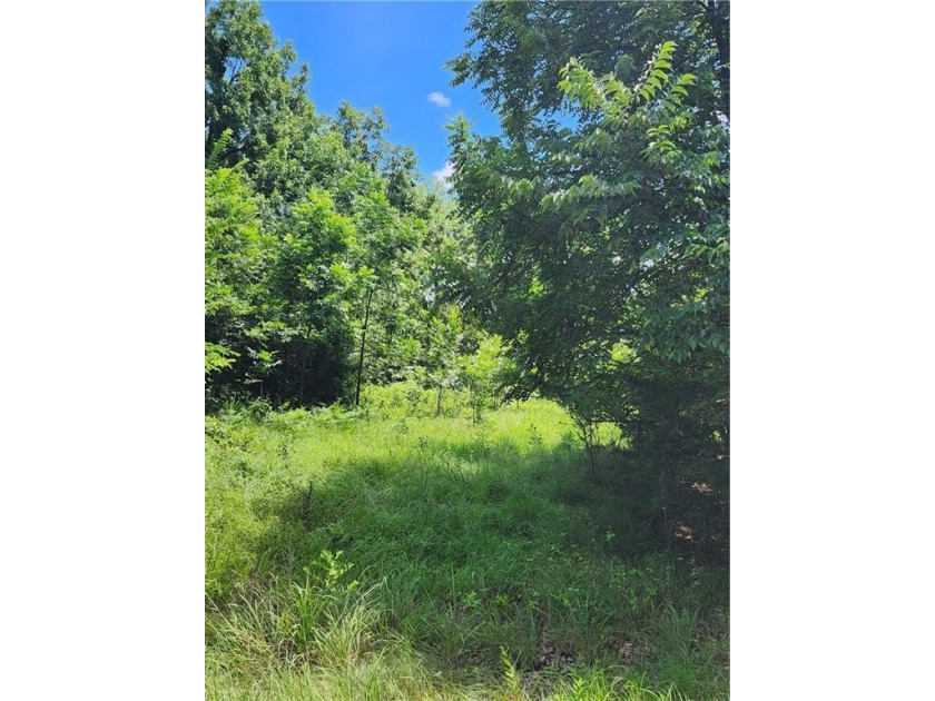 Don't miss this exceptional opportunity to own a beautiful lot - photo 5