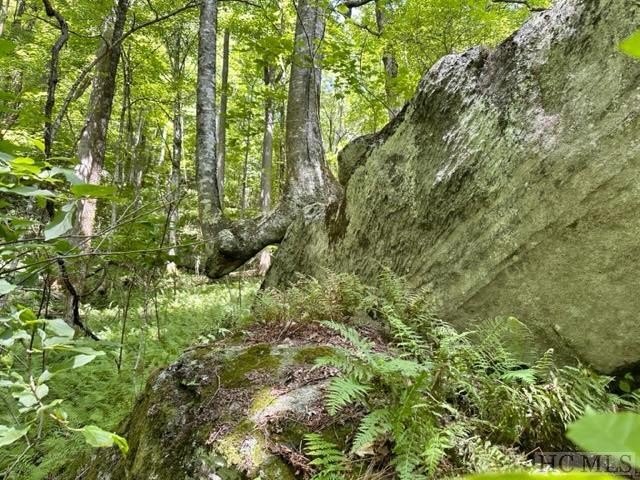Nestled in the captivating valley between The Divide and The - photo 39