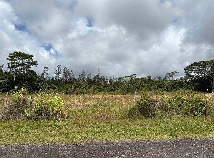 Rare opportunity to own a beautifully prepared 2-acre corner - photo 2