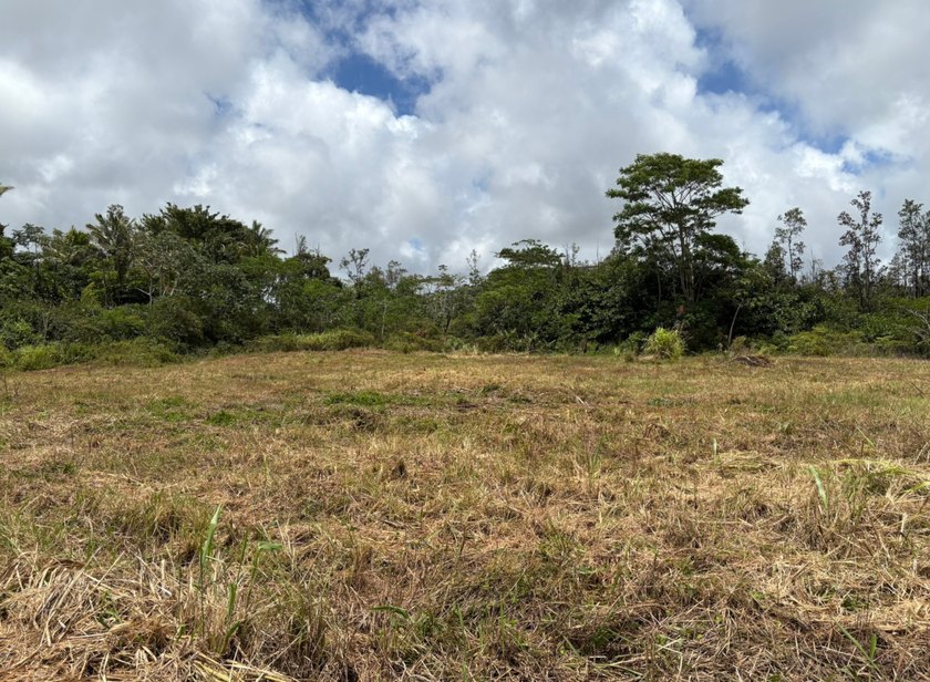 Rare opportunity to own a beautifully prepared 2-acre corner - photo 5