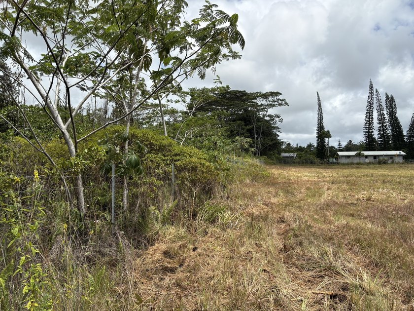 Rare opportunity to own a beautifully prepared 2-acre corner - photo 6