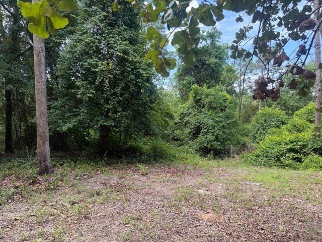 Discover the potential of this beautiful 1+/- acre of - photo 6