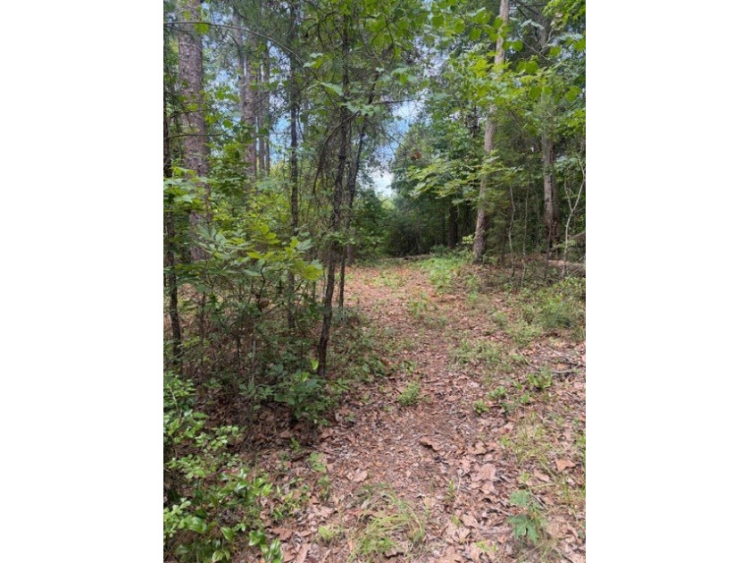 Discover the potential of this beautiful 1+/- acre of - photo 8