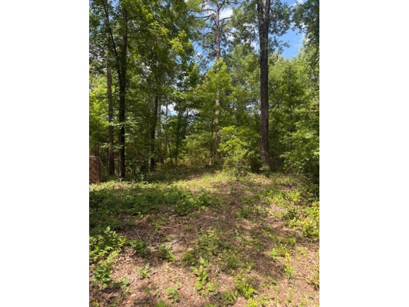 Discover the potential of this beautiful 1+/- acre of - photo 9