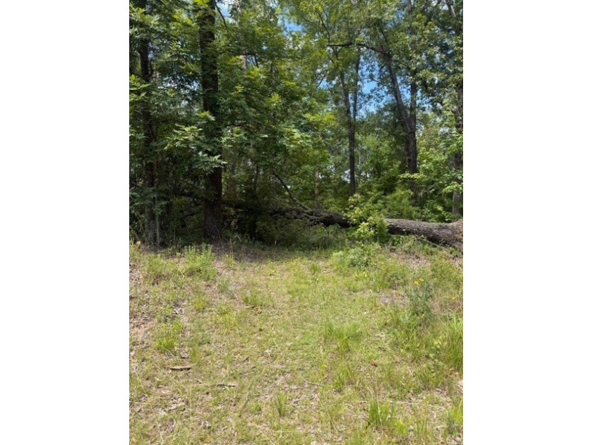 Discover the potential of this beautiful 1+/- acre of - photo 10
