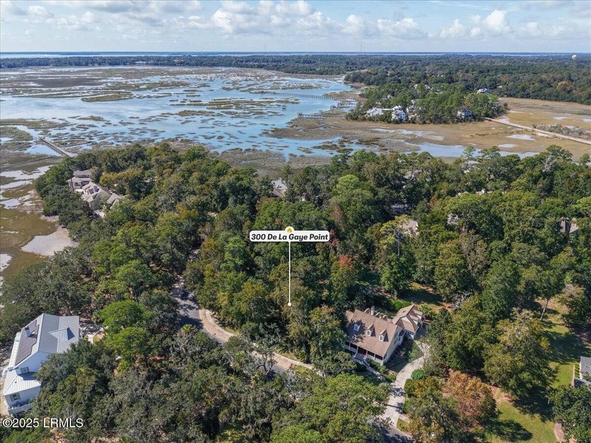 BUILD YOUR DREAM HOME IN ONE OF BEAUFORT'S MOST SOUGHT-AFTER - photo 13