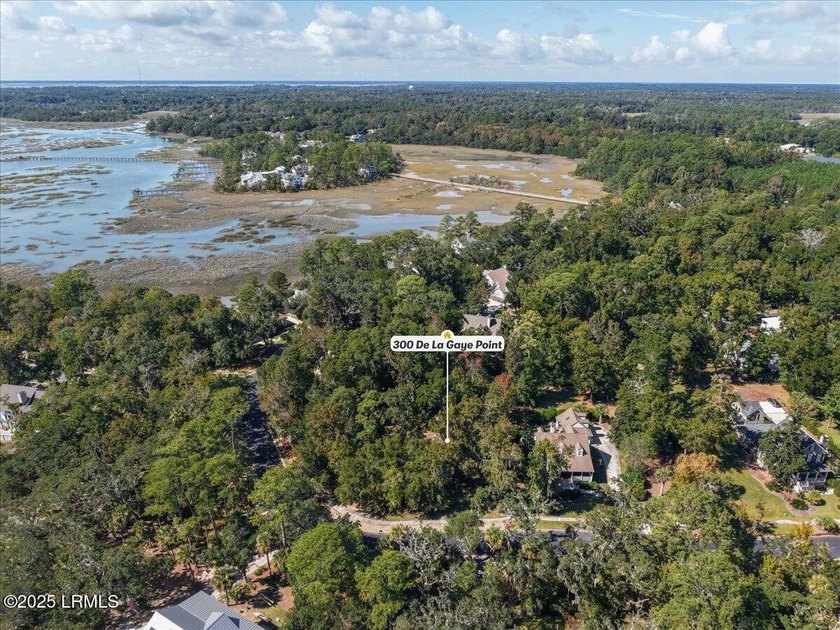 BUILD YOUR DREAM HOME IN ONE OF BEAUFORT'S MOST SOUGHT-AFTER - photo 14