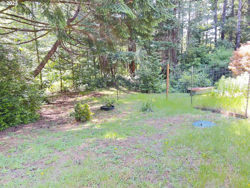 Private Country Retreat in Port Orford! Welcome to 42065 Vista - photo 27