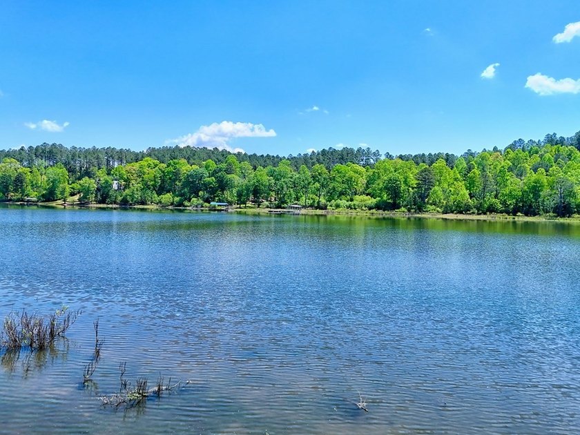 Discover Your Dream Lakefront Escape at Lake Nottely! Located in - photo 4