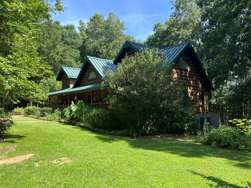 WATERFRONT LOG HOME!!! Located between Fort Gaines, Georgia and - photo 3