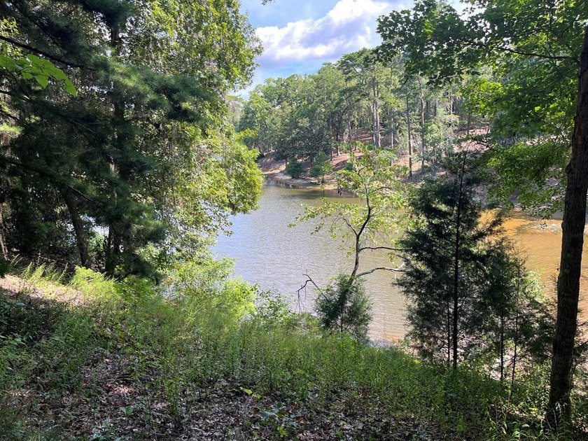 WATERFRONT LOG HOME!!! Located between Fort Gaines, Georgia and - photo 4