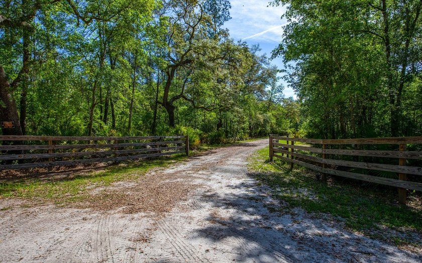 River front property with utilities! 7.97 acres on the Suwannee - photo 3