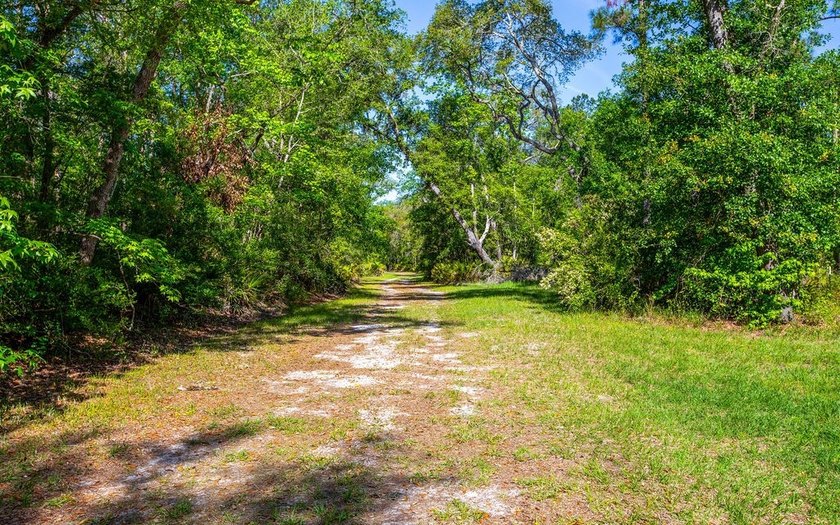 River front property with utilities! 7.97 acres on the Suwannee - photo 5