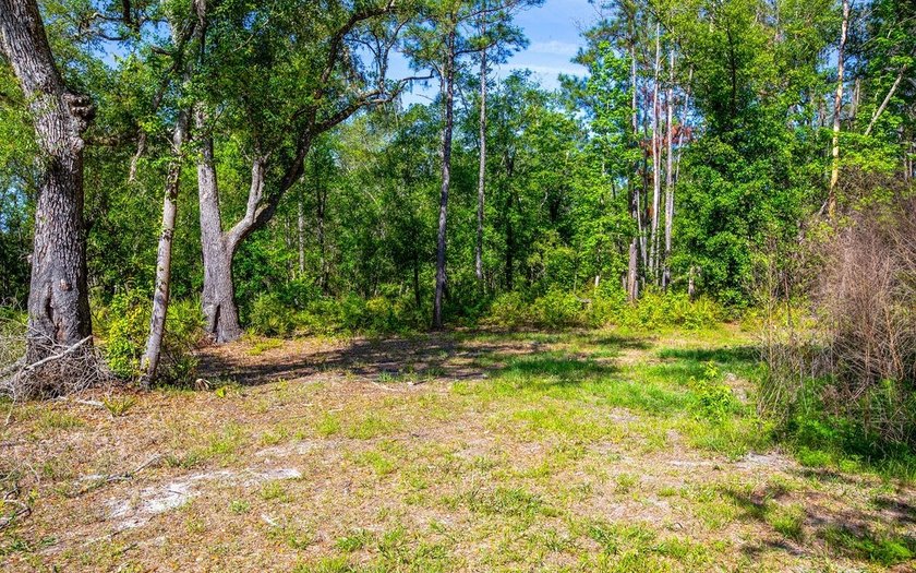 River front property with utilities! 7.97 acres on the Suwannee - photo 7