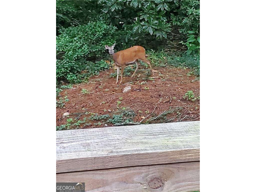 Welcome to Princeton Lakes, one of East Cobb's most established - photo 35