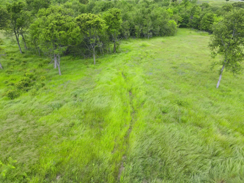 3+ Acre Offwater Lot with Boat Slip on Lake Halbert - photo 30