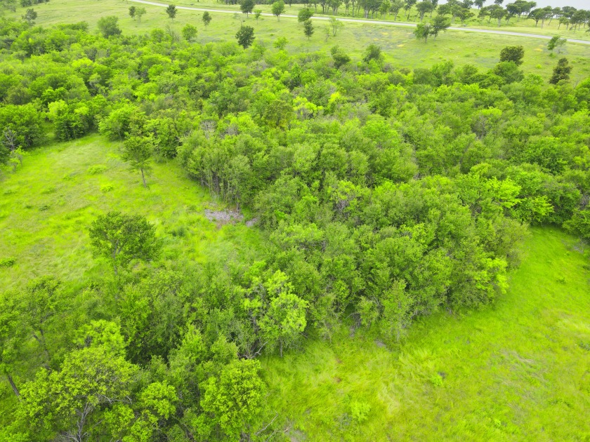3+ Acre Offwater Lot with Boat Slip on Lake Halbert - photo 25