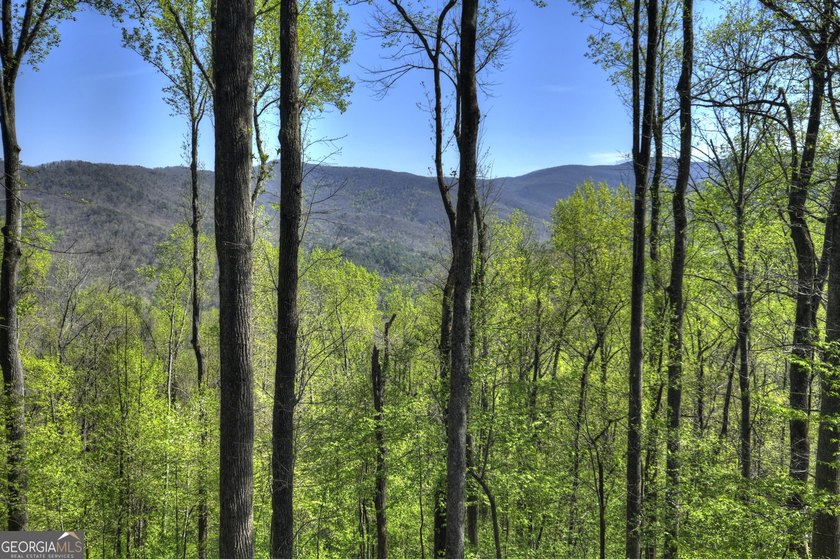 ~Long range mountain view log home perched on top of Walnut - photo 3